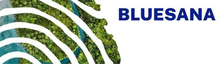 Bluesana