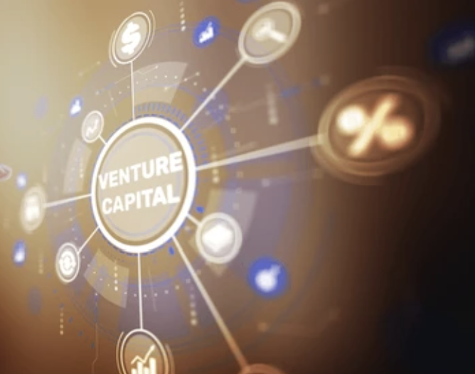 Venture capital network visual